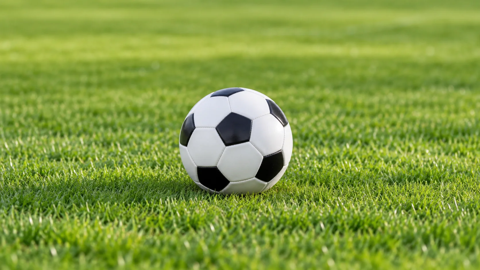 2020年2月快船与对手激战回顾精彩瞬间与球员表现分析