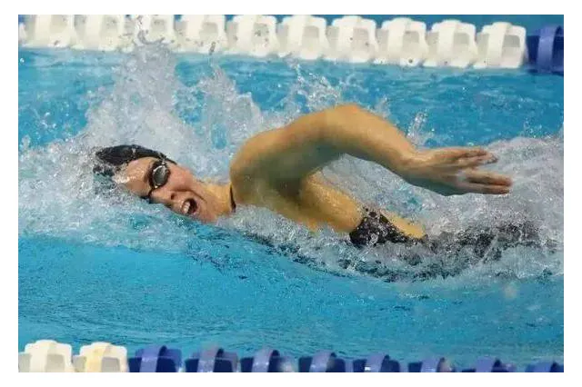 熊猫